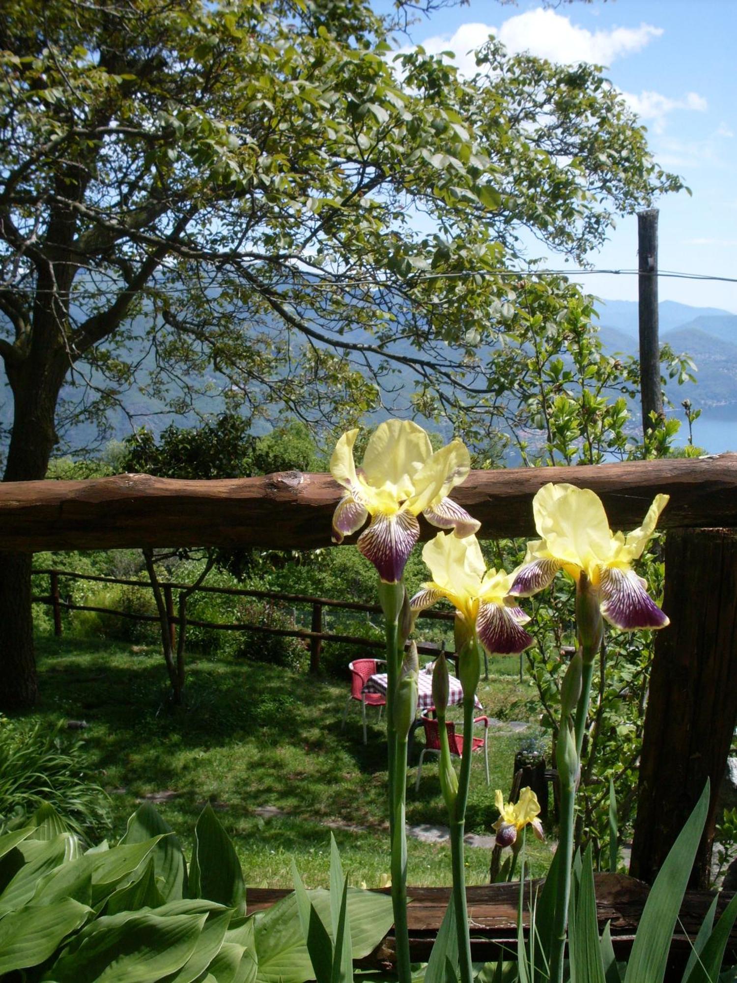 Agriturismo Da Attilio Cannobio Kültér fotó
