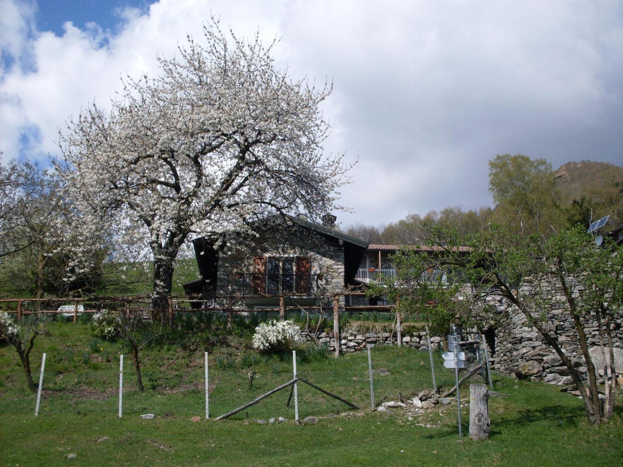 Agriturismo Da Attilio Cannobio Kültér fotó