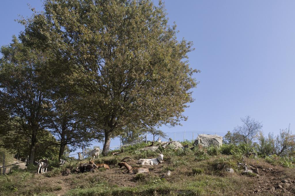 Agriturismo Da Attilio Cannobio Kültér fotó