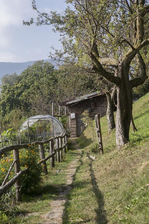 Agriturismo Da Attilio Cannobio Kültér fotó