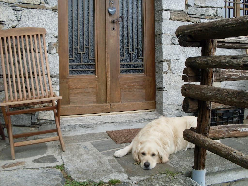 Agriturismo Da Attilio Cannobio Szoba fotó